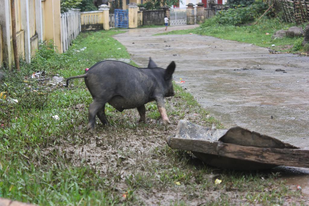 Behome Homestay Phong Nha Exteriér fotografie