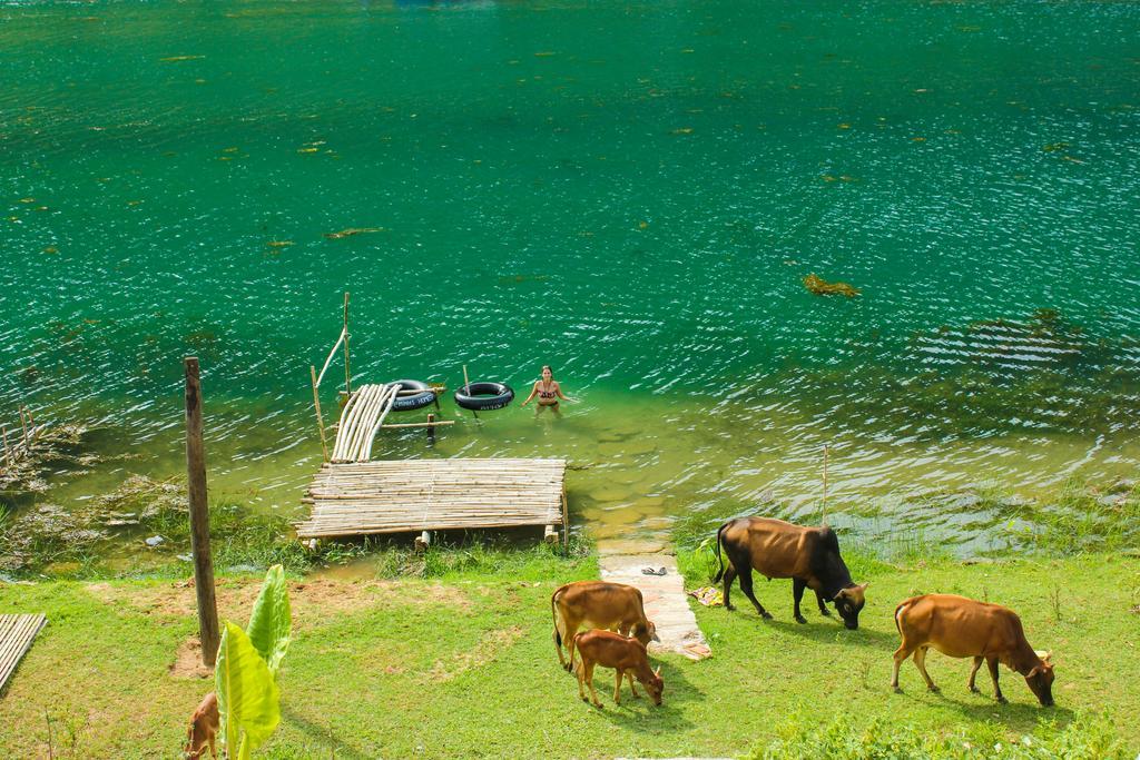 Behome Homestay Phong Nha Exteriér fotografie